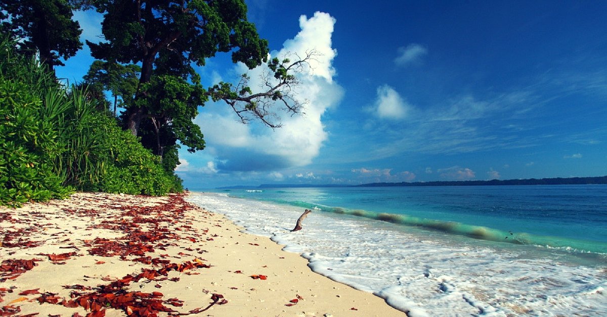 HAVELOCK ISLAND (Swaraj Dweep)