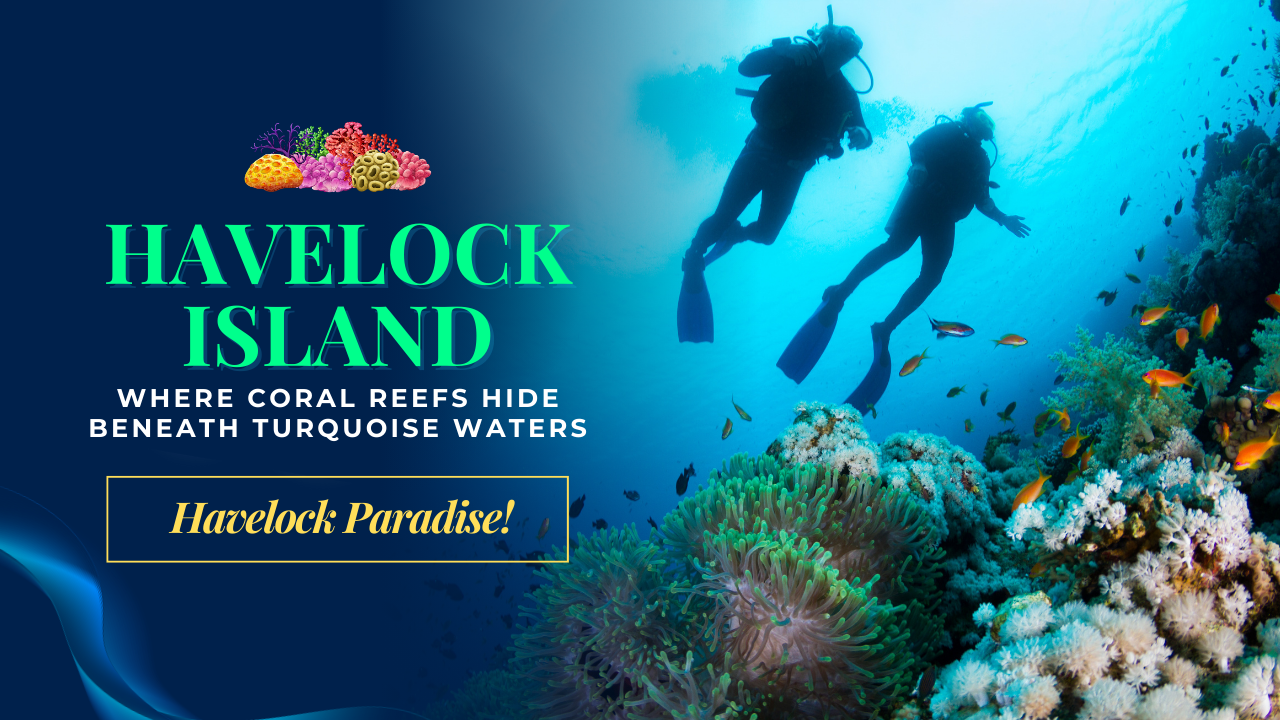 3Nights / 4Days Havelock Paradise!