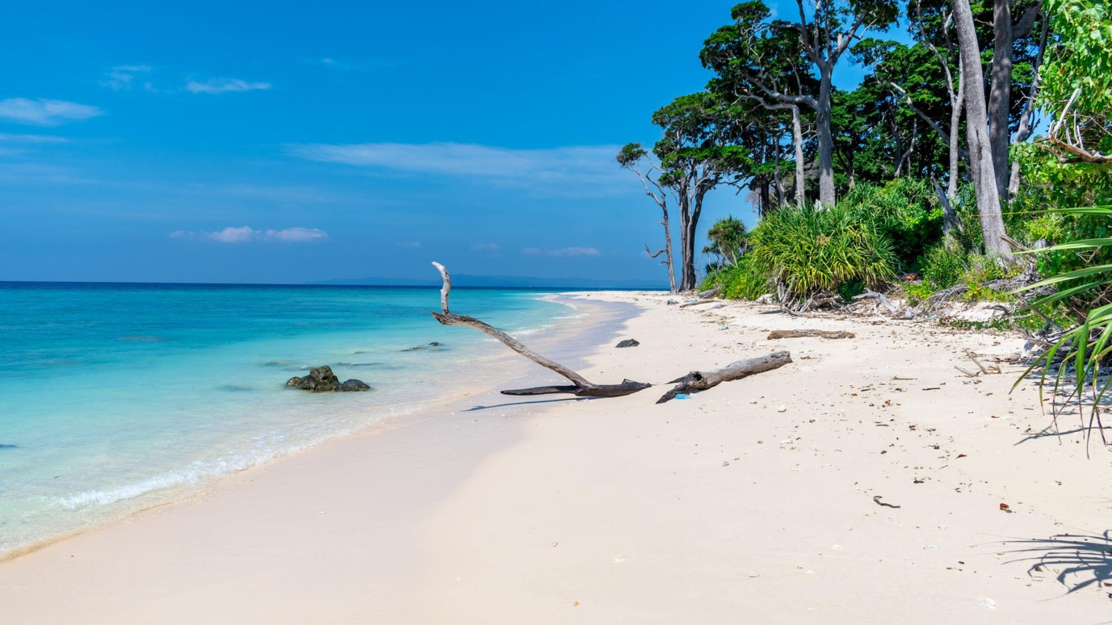 NEIL ISLAND (Shaheed Dweep)