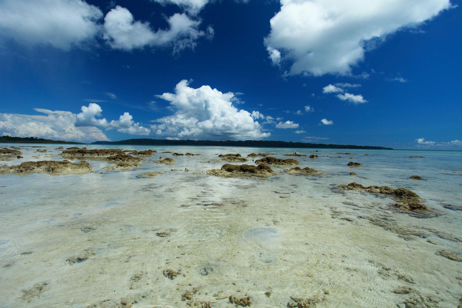 Bangalore to Andaman 5 Nights / 6 Days Tour Package